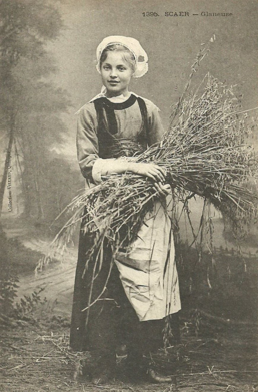 Carte postale ancienne Scaër glaneuse à Scaër