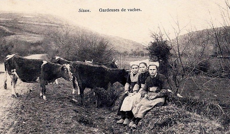 Carte postale ancienne Sizun Gardeuses de vaches à Sizun