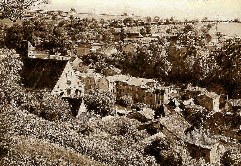 Carte postale ancienne Saint-Chef vignes sur coteaux