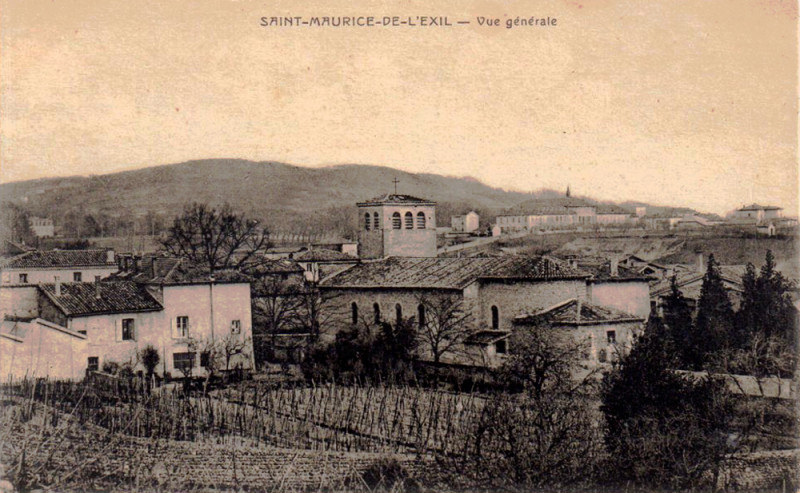 Carte postale ancienne Saint-Maurice-de-l'Exil et son vignoble