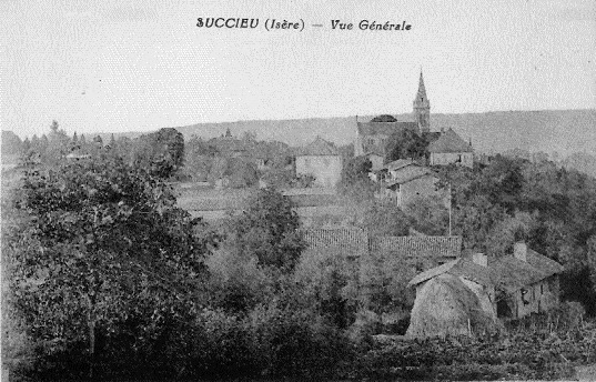 Carte postale ancienne Succieu vue générale
