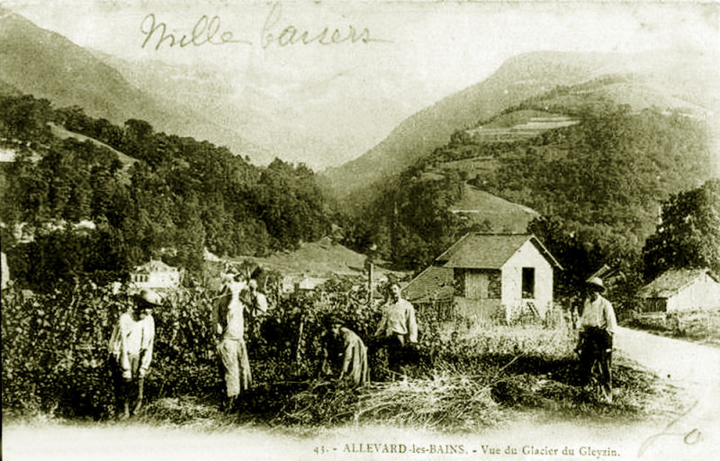 Carte postale ancienne Vendanges à Allevard-les-Bains