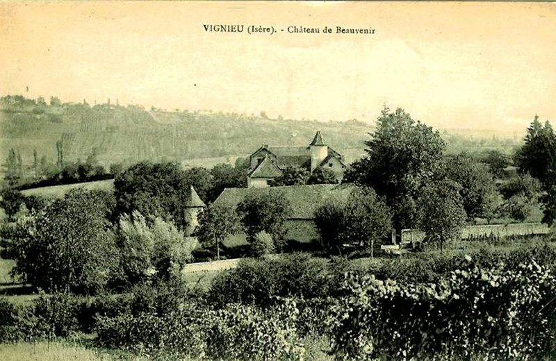 Carte postale ancienne Vignieu vignoble du château de Beauvenir