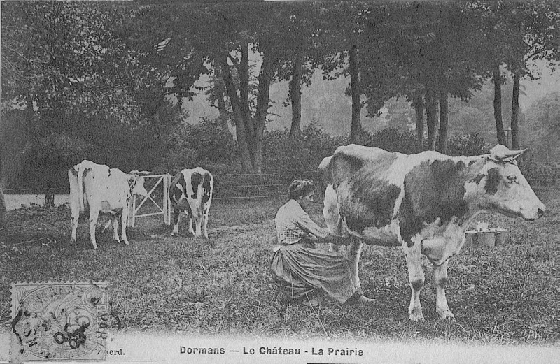 Carte postale ancienne Dormans 00105