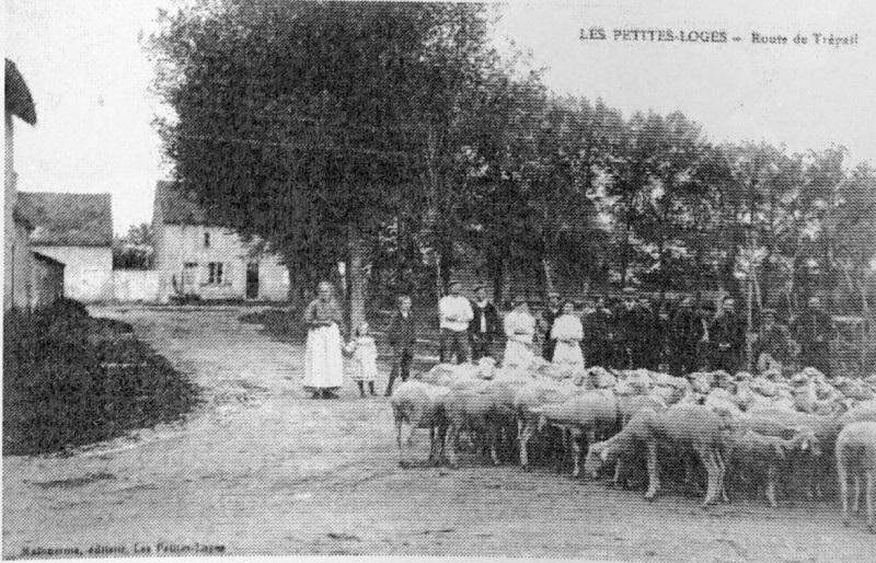 Carte postale ancienne Les petite loges2 80759