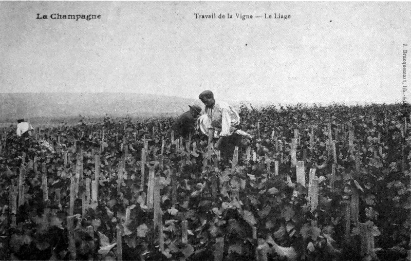 Carte postale ancienne Liage en Champagne 1005447