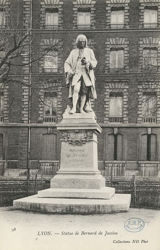 Carte postale ancienne Statue de Bernard de Jussieu - Lyon CIPA0813