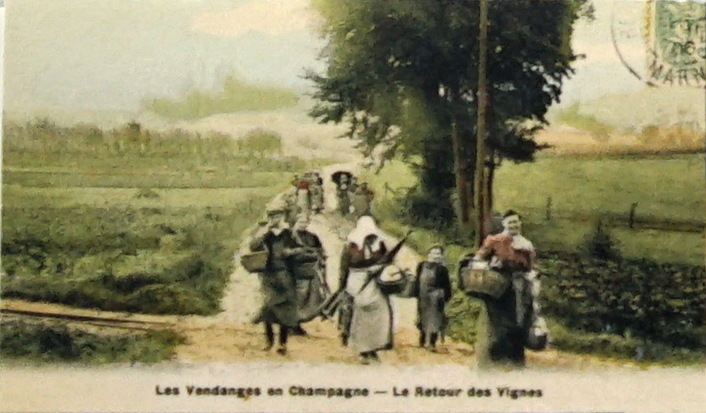 Carte postale ancienne VenDangeS 1906 en Champagne 8556