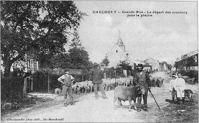 Carte postale ancienne Eglise 07869 Daucourt sortie des moutons