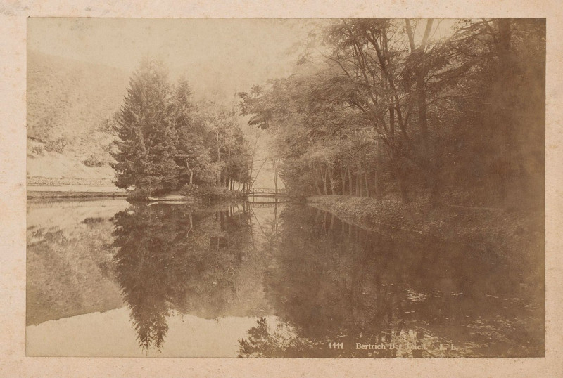 Carte postale ancienne Vijver in Bad Bertrich, Rijnland-Palts, Duitsland, Rp-F-00-6266-4