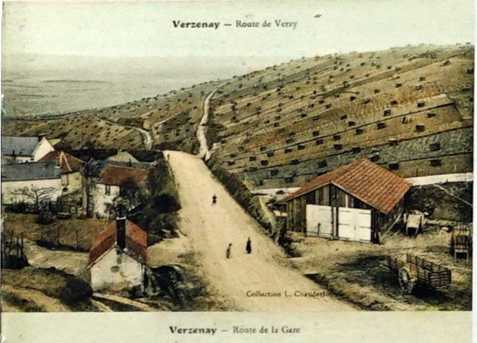 Carte postale ancienne Verzenay 8556 à Verzenay