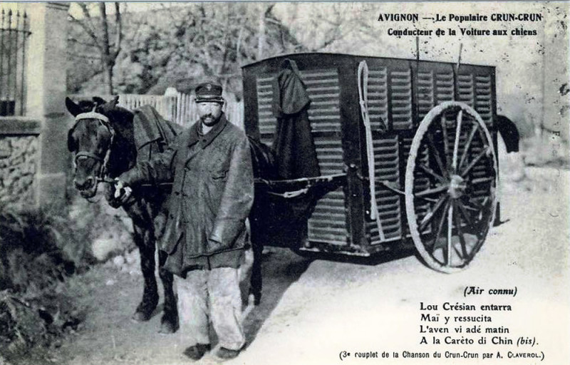 Carte postale ancienne Avignon Crun-Crun et sa voiture aux chiens