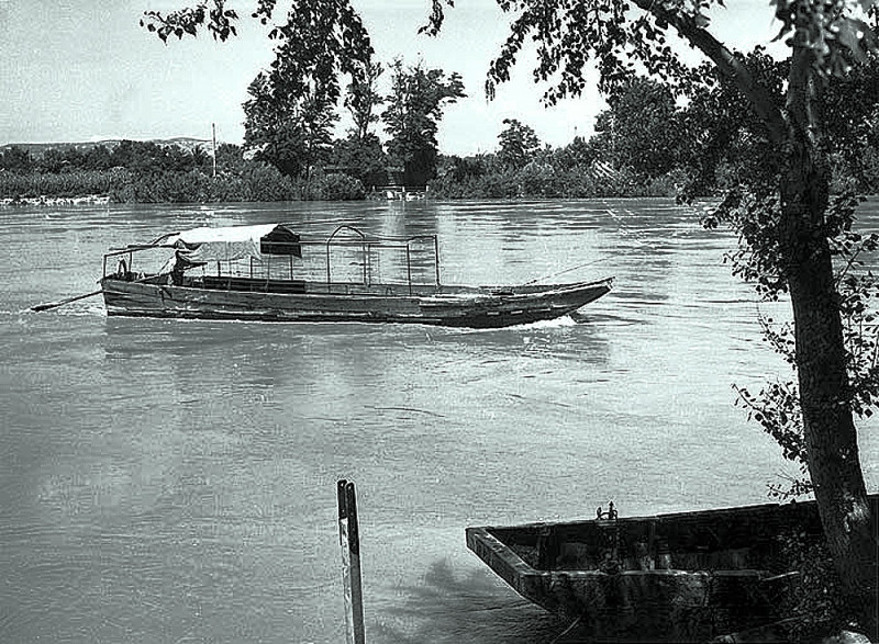 Carte postale ancienne Avignon Bac à traille sur le Rhône