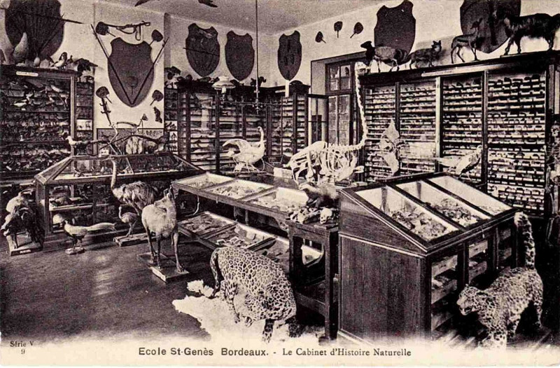 Carte postale ancienne Bordeaux - Ecole Saint-Genès 2 à Bordeaux