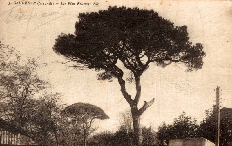 Carte postale ancienne Caudéran - Les Pins-francs à Bordeaux