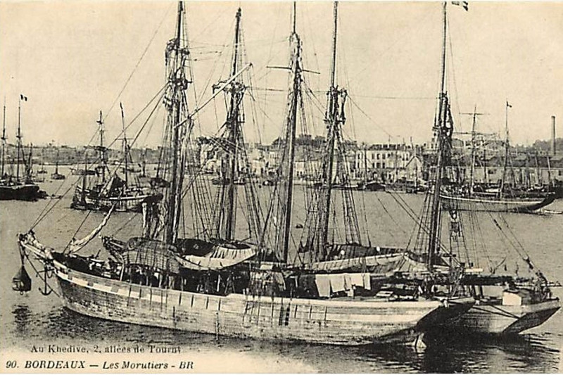 Carte postale ancienne Bordeaux - Morutier 1 à Bordeaux