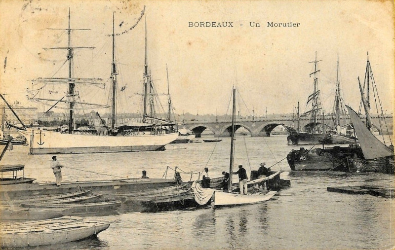 Carte postale ancienne Bordeaux - Morutier 2 à Bordeaux