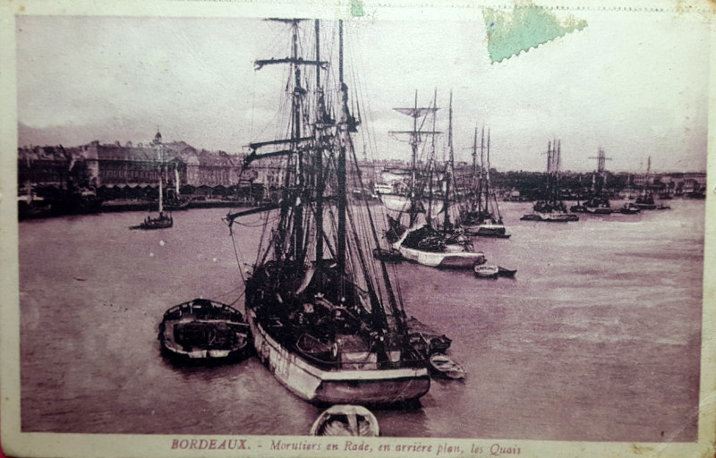 Carte postale ancienne Bordeaux - Morutiers 4 à Bordeaux
