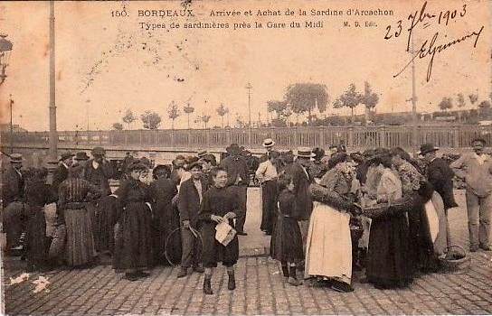 Carte postale ancienne Bordeaux - Arrivé de la sardine d'Arcachon à Bordeaux