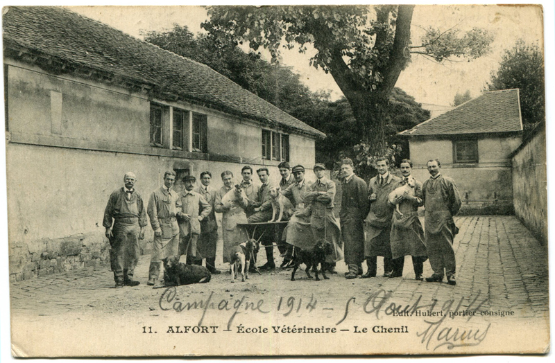 Carte postale ancienne Alfort CP100