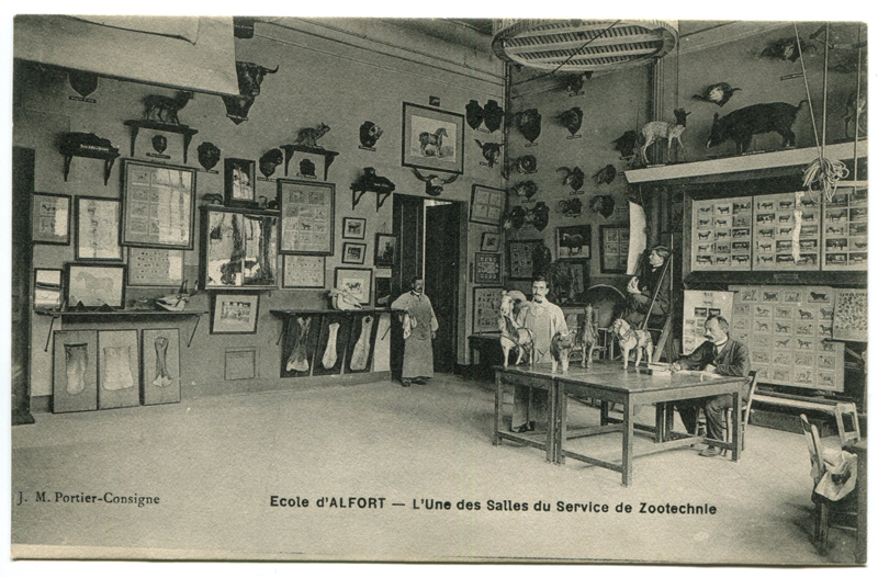 Carte postale ancienne Alfort CP104