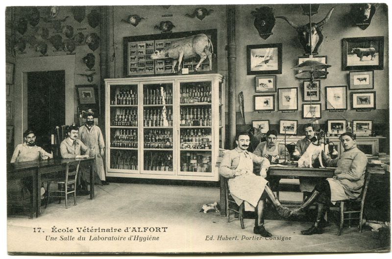 Carte postale ancienne Alfort CP106