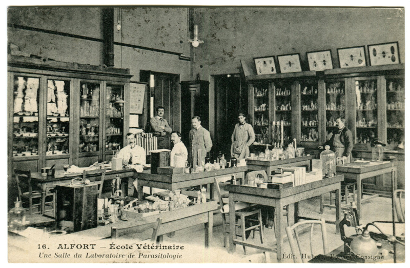 Carte postale ancienne Alfort CP109