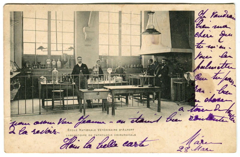 Carte postale ancienne Alfort CP111