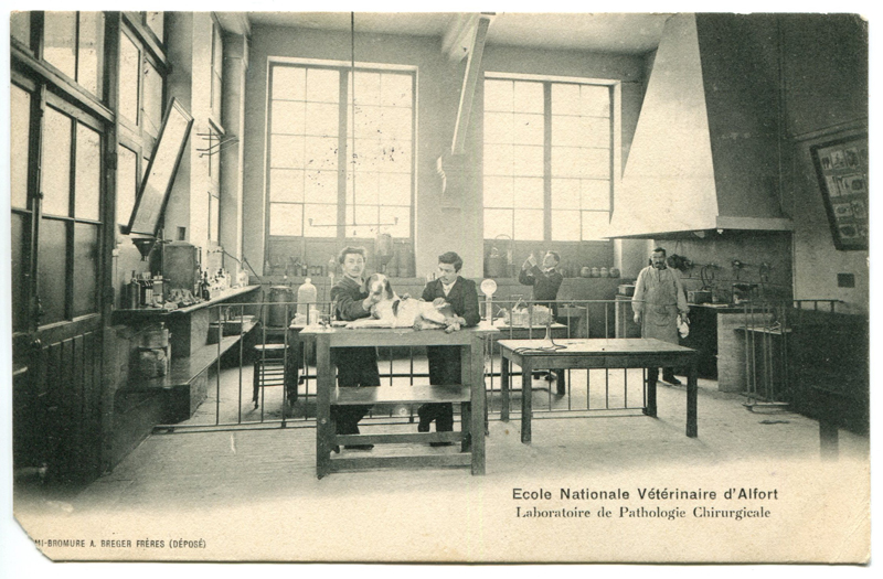Carte postale ancienne Alfort CP117