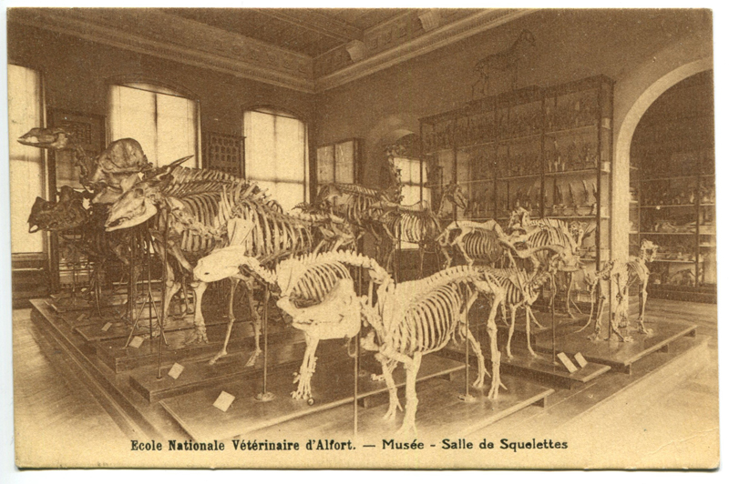 Carte postale ancienne Alfort CP125
