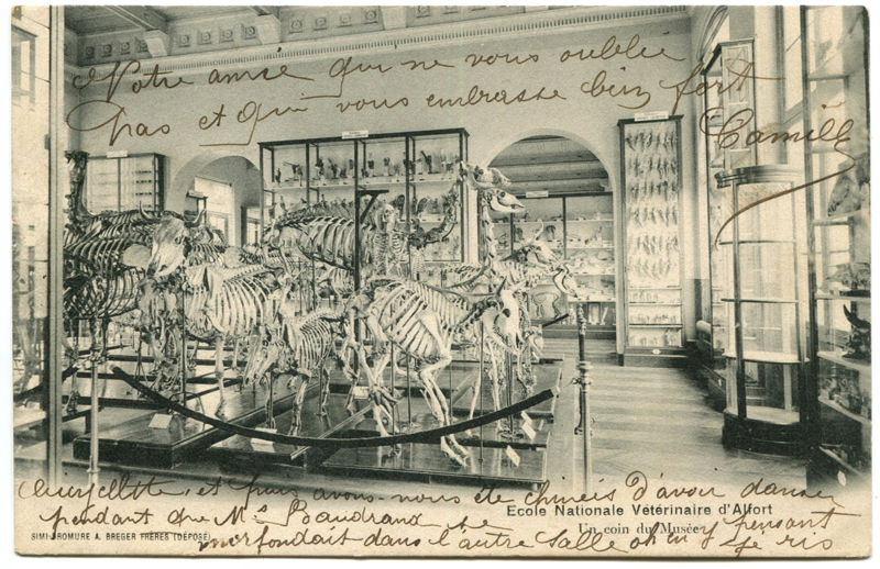 Carte postale ancienne Alfort CP126