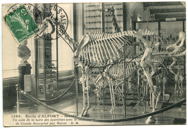 Carte postale ancienne Alfort CP127