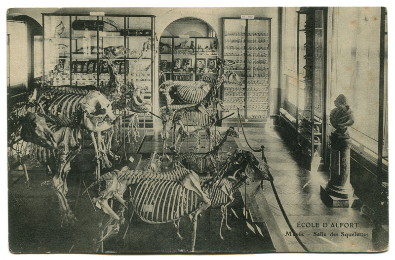 Carte postale ancienne Alfort CP129