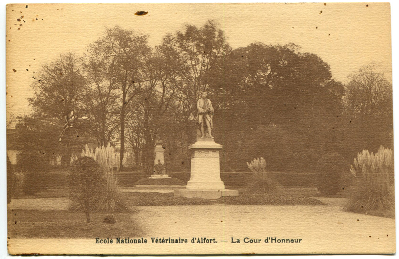 Carte postale ancienne Alfort CP13