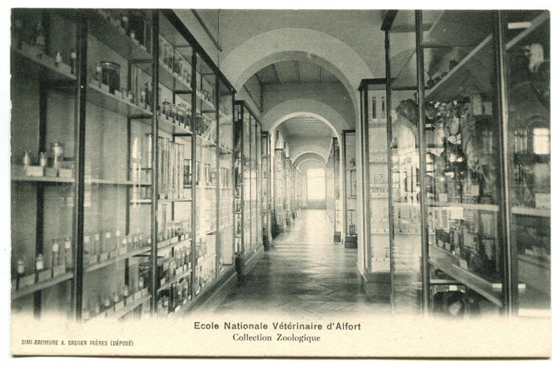Carte postale ancienne Alfort CP130