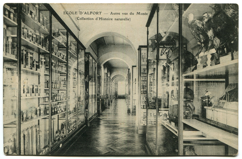 Carte postale ancienne Alfort CP131