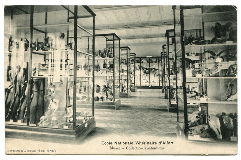 Carte postale ancienne Alfort CP133