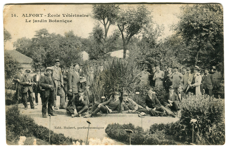 Carte postale ancienne Alfort CP134
