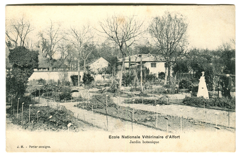 Carte postale ancienne Alfort CP137