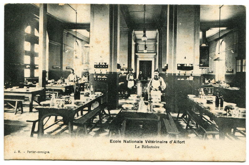 Carte postale ancienne Alfort CP138