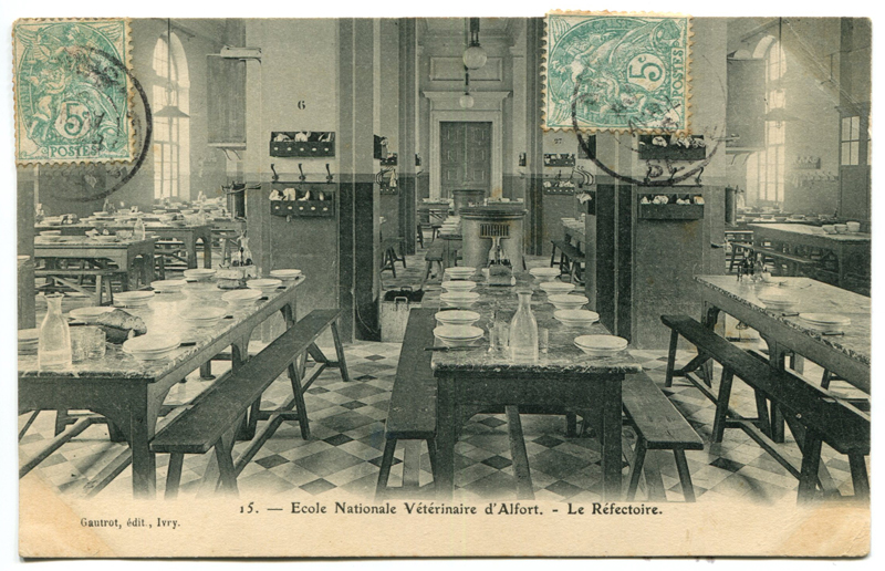 Carte postale ancienne Alfort CP140