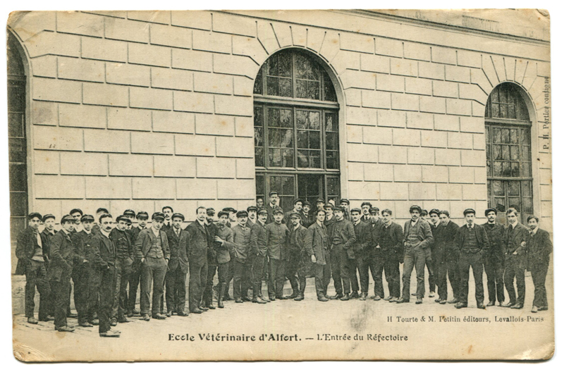 Carte postale ancienne Alfort CP141