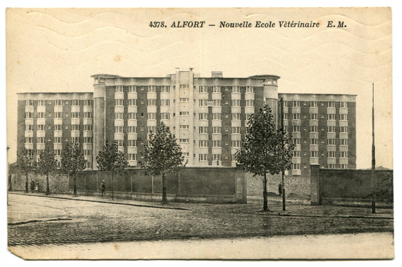 Carte postale ancienne Alfort CP146
