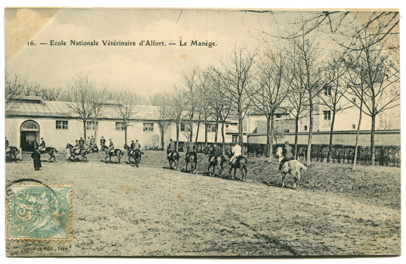 Carte postale ancienne Alfort CP147