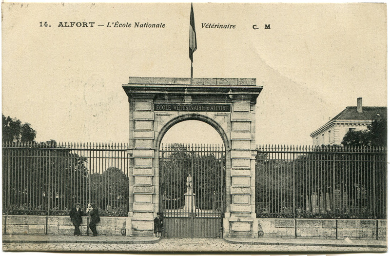 Carte postale ancienne Alfort CP151