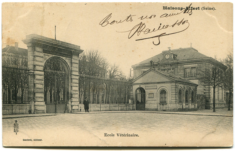 Carte postale ancienne Alfort CP152