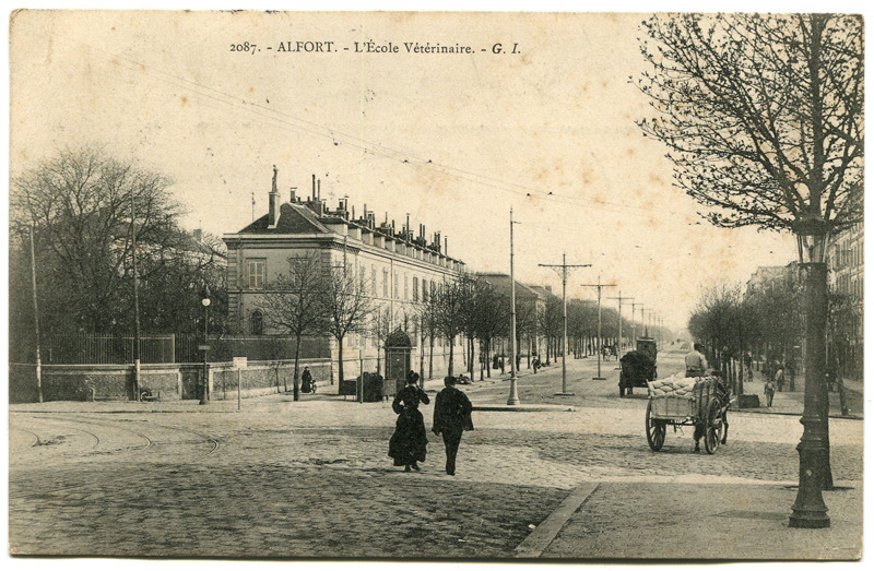 Carte postale ancienne Alfort CP169
