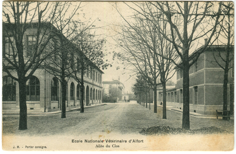 Carte postale ancienne Alfort CP17