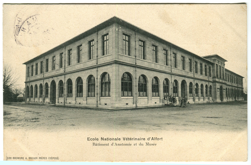 Carte postale ancienne Alfort CP19