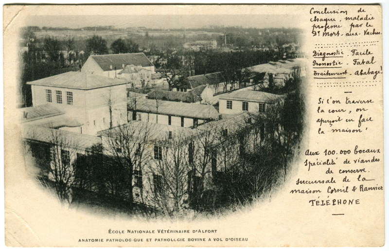 Carte postale ancienne Alfort CP21